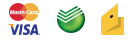 Icons payments